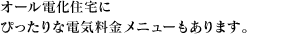 I[dZɂ҂ȓdCj[܂B