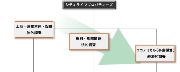 シティライフプロパティーズデューデリジェンスフロー図